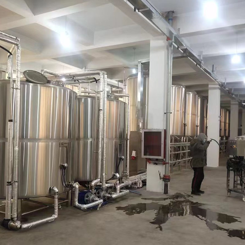 扶绥精酿啤酒设备