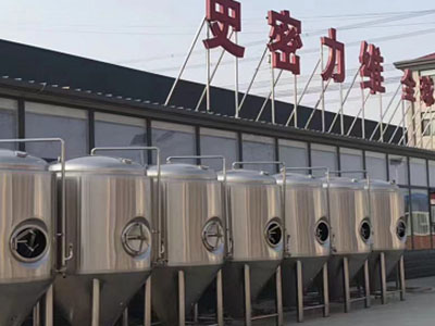 扶绥精酿啤酒设备厂—如何判断精酿啤酒设备的密封件需要更换？